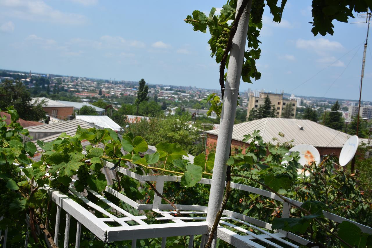 Friends House Hotel Kutaisi Luaran gambar